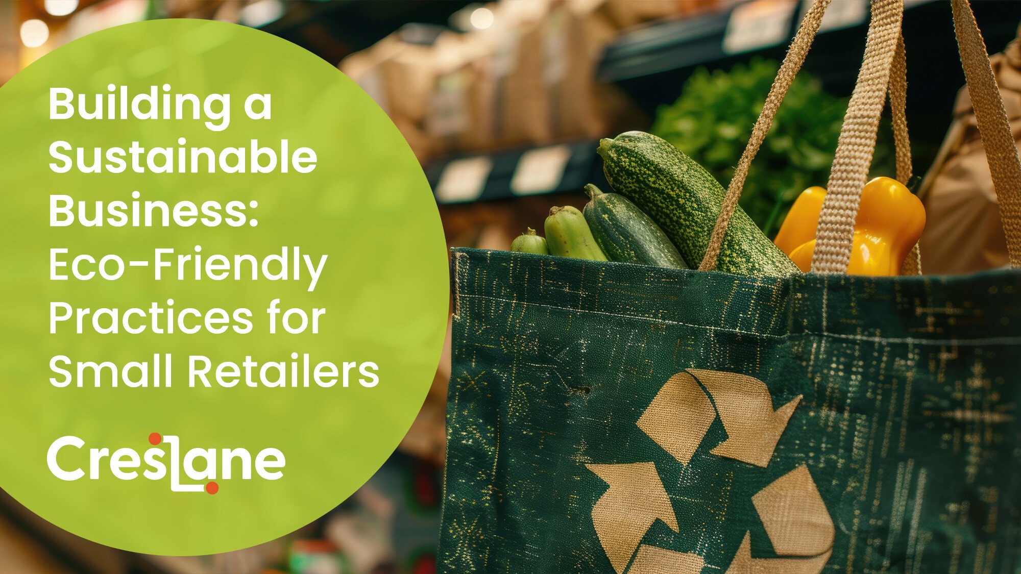 Building a Sustainable Business: Eco-Friendly Practices for Small Retailers